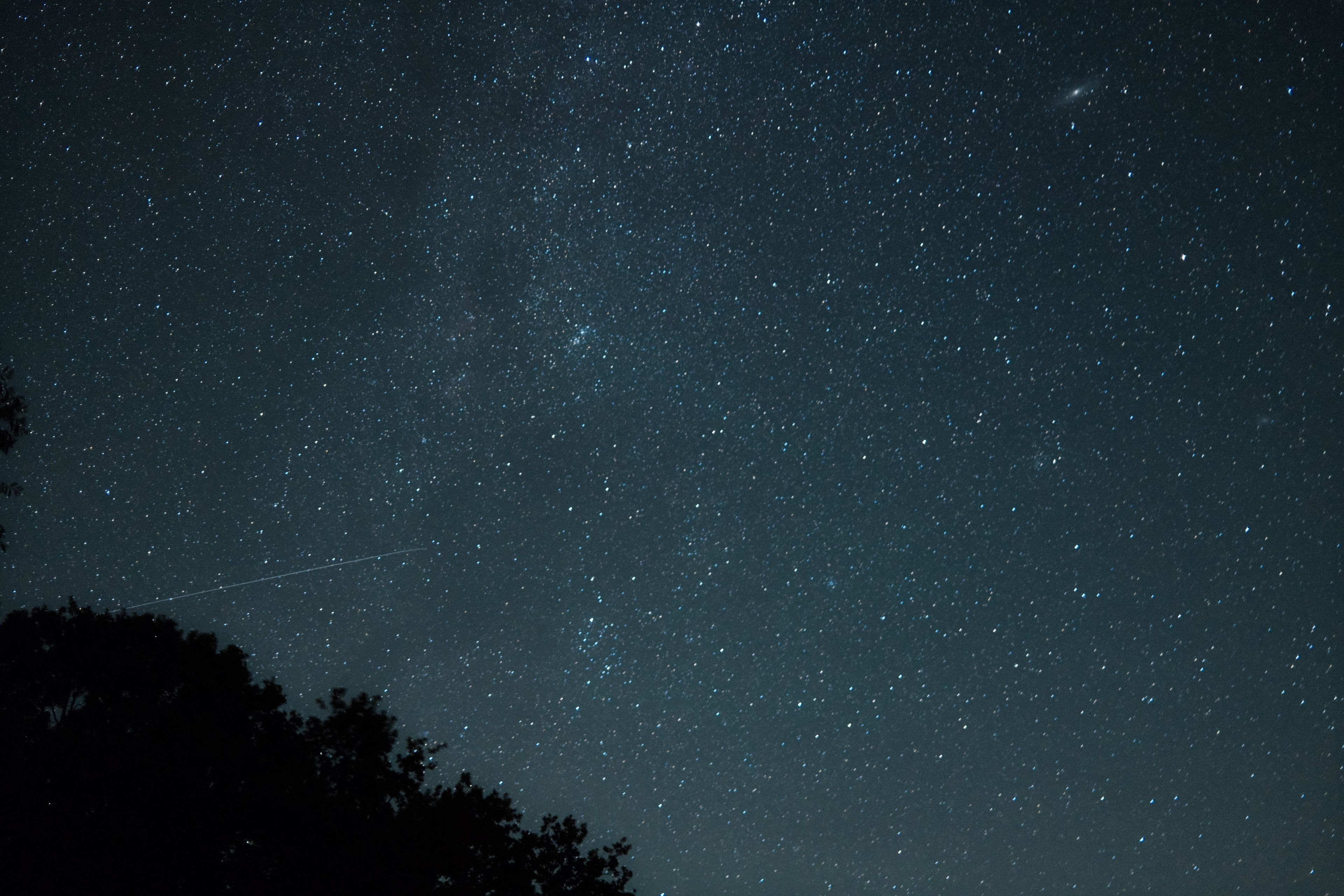 Girls looking at the night sky